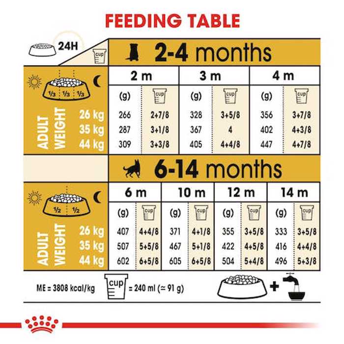 ROYAL CANIN GERMAN SHEPHERD JUNIOR 12K XIRA TROFI SKuLOu